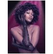 CALEXOTICS - RADIANCE LUVAS DE COMPRIMENTO COMPLETO RHINE CALEXOTICS - RADIANCE LUVAS DE COMPRIMENTO COMPLETO RHINE
